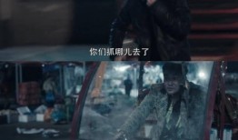 老四爆料黑历史视频大全,视频大全背后的惊人真相